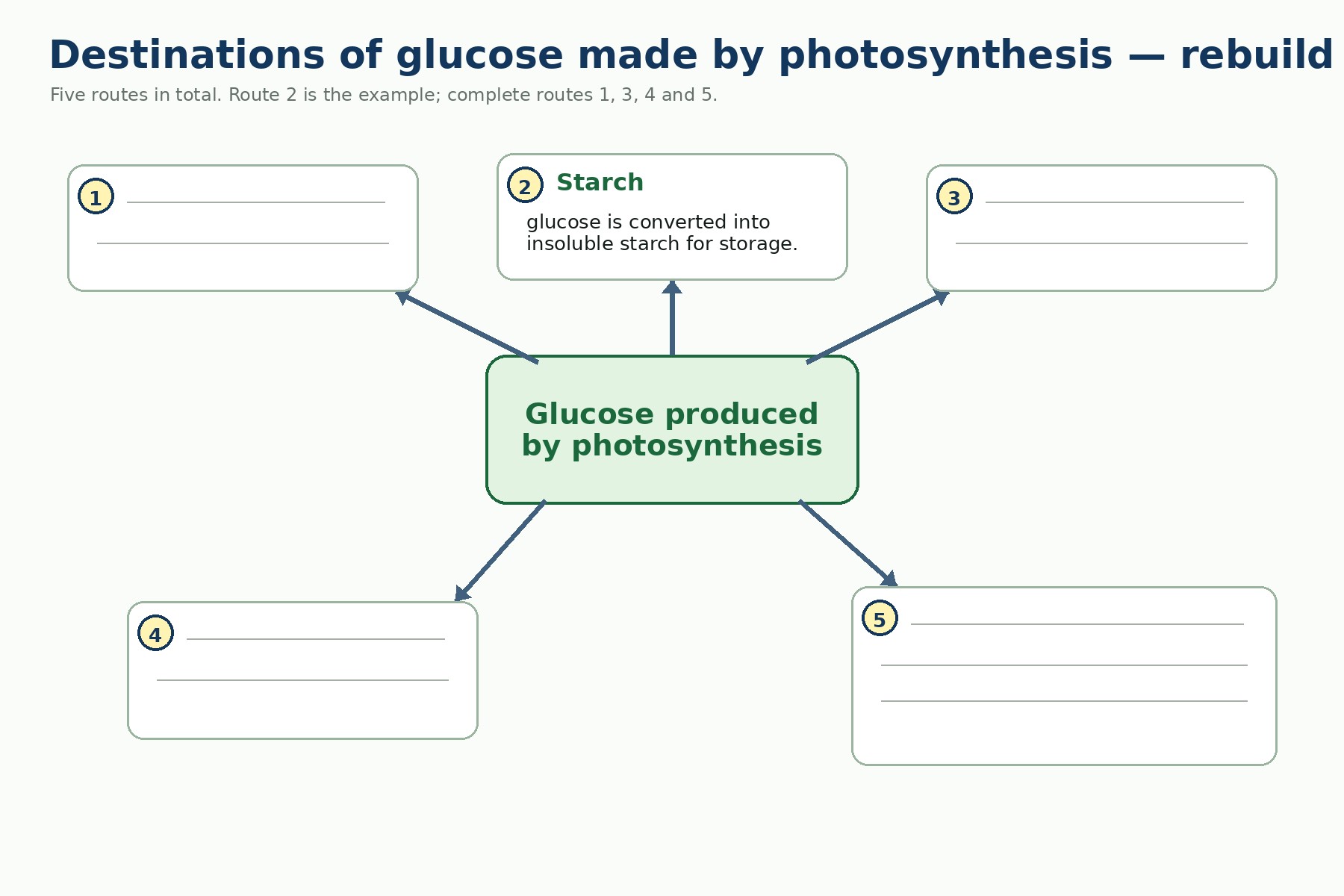 Photosynthesis — Section 16 — Retrieval task 4 — Rebuild the destinations of glucose
