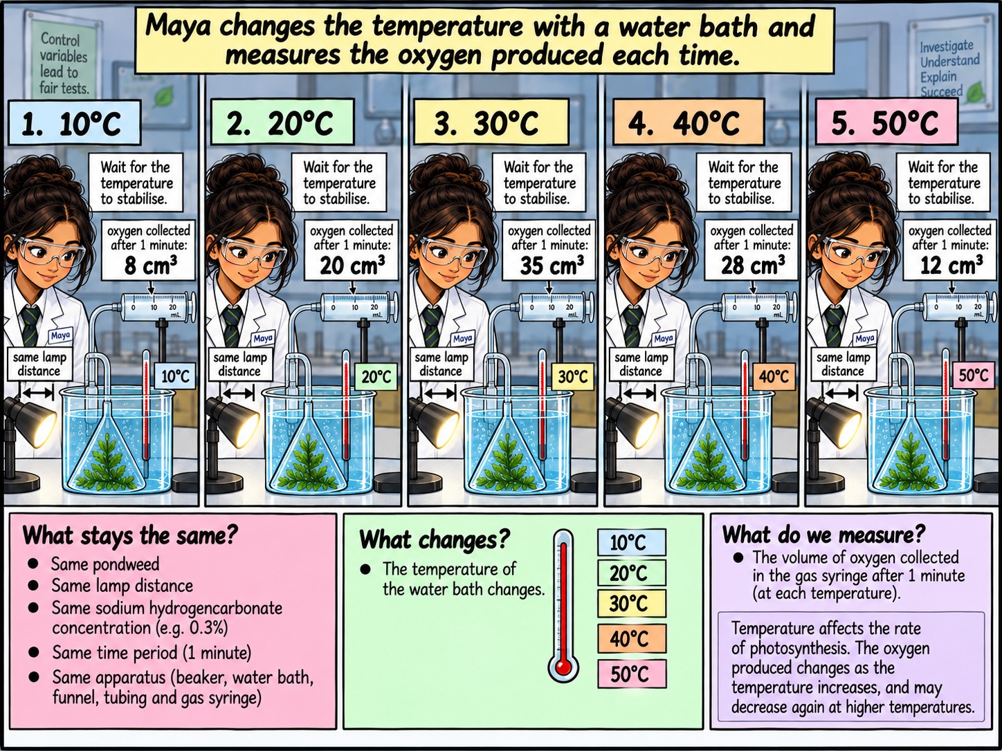 Factors Affecting the Rate of Photosynthesis — Section 3 — Investigating temperature