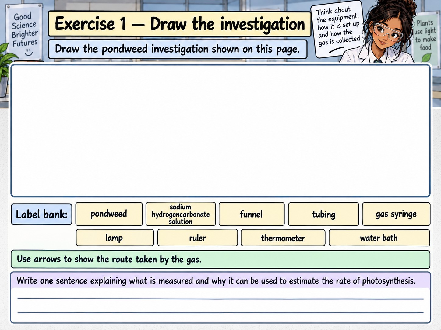 Measuring the Rate of Photosynthesis — Section 9 — Exercise 1 — Draw the investigation