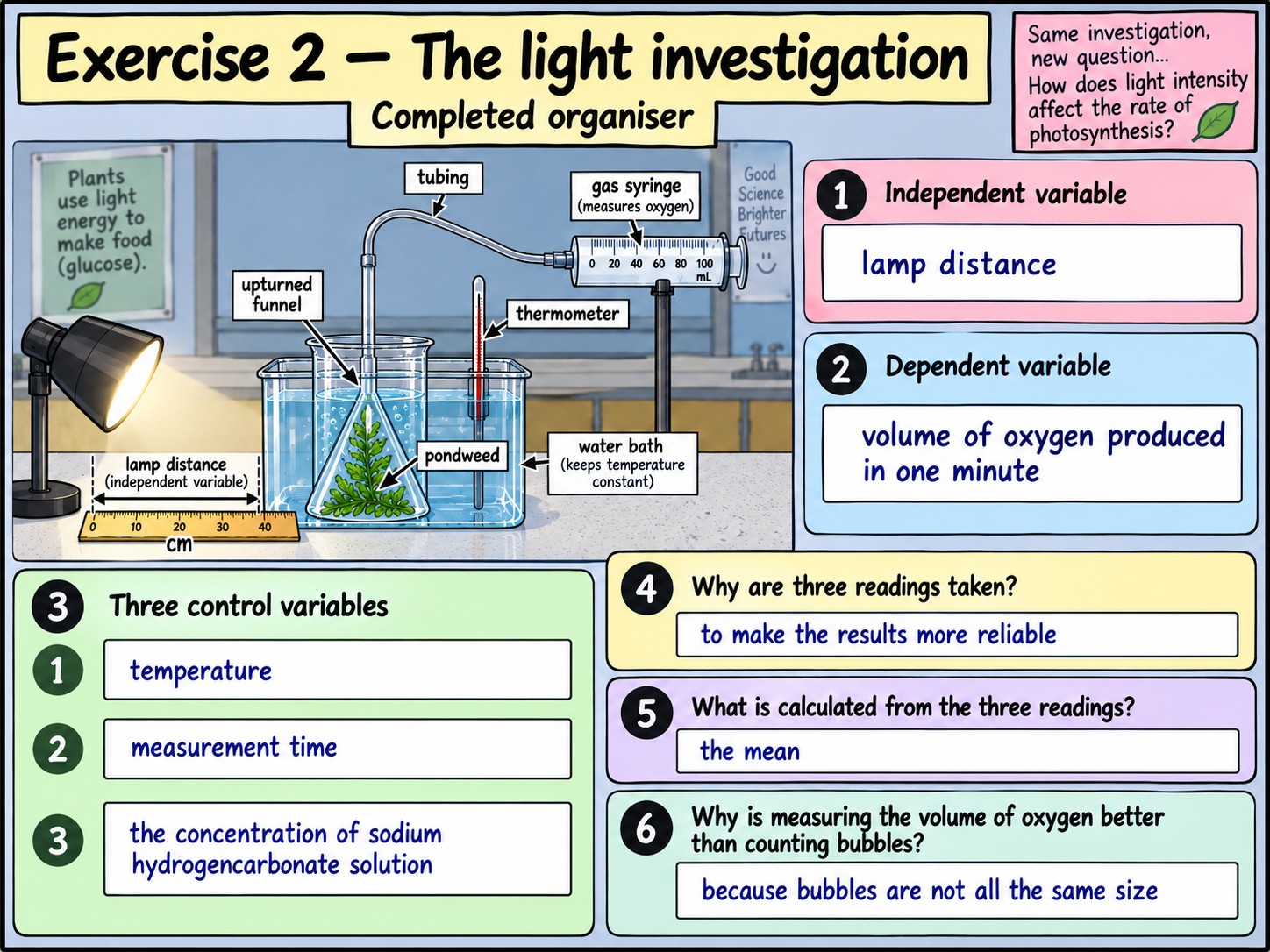 Measuring the Rate of Photosynthesis — Section 11 — Exercise 2 — The light investigation
