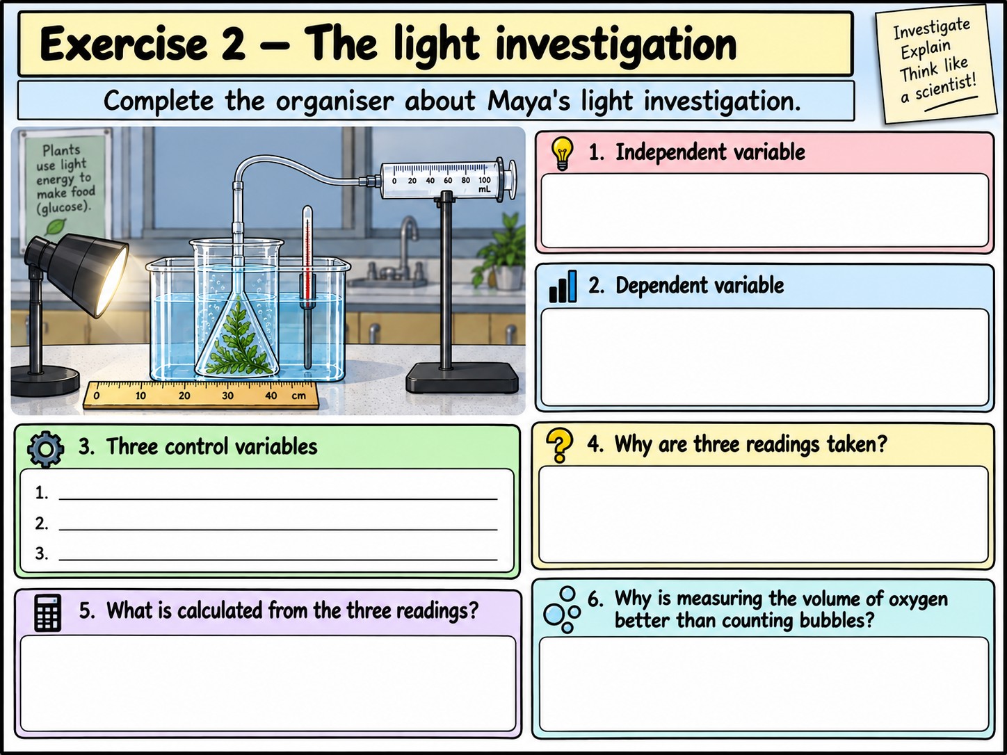 Measuring the Rate of Photosynthesis — Section 11 — Exercise 2 — The light investigation