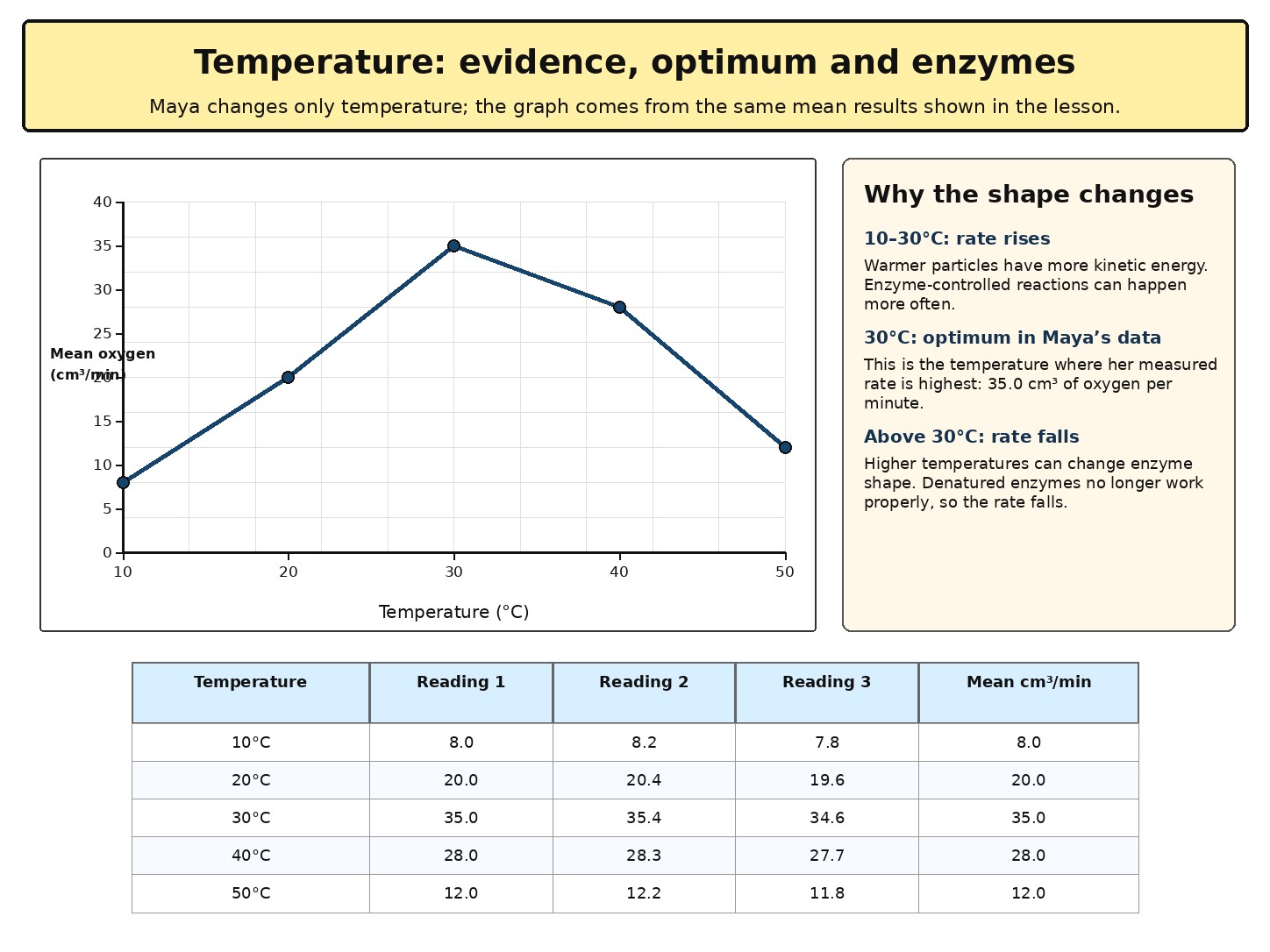 Factors Affecting the Rate of Photosynthesis — Section 4 — What does the temperature graph show?