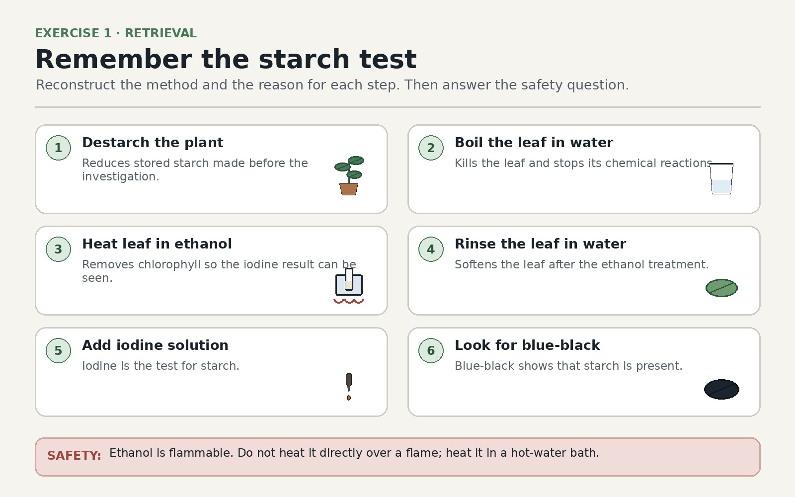 Evidence for What Photosynthesis Requires — Exercise 1 — Remember the starch test