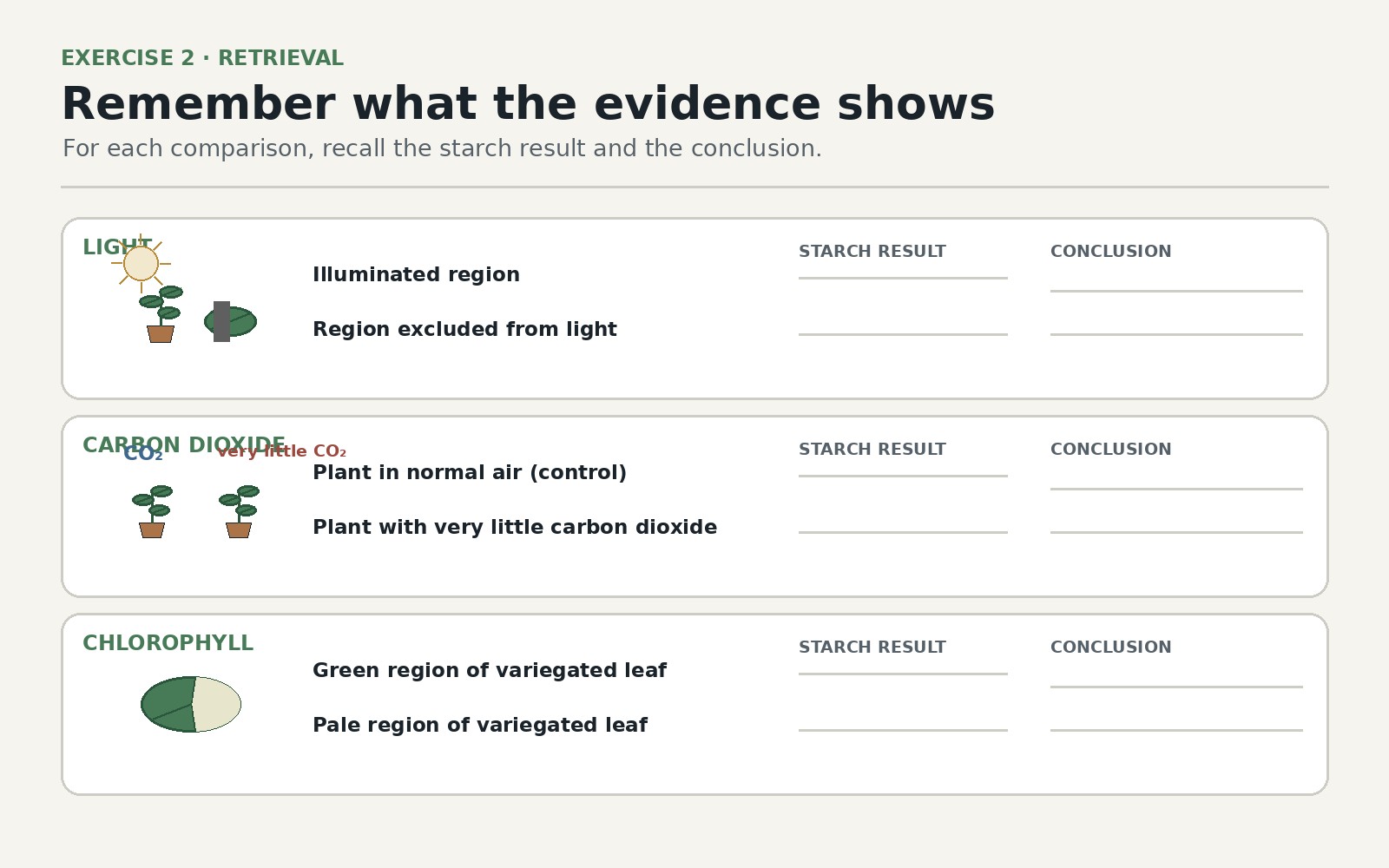 Evidence for What Photosynthesis Requires — Exercise 2 — Remember what the evidence shows