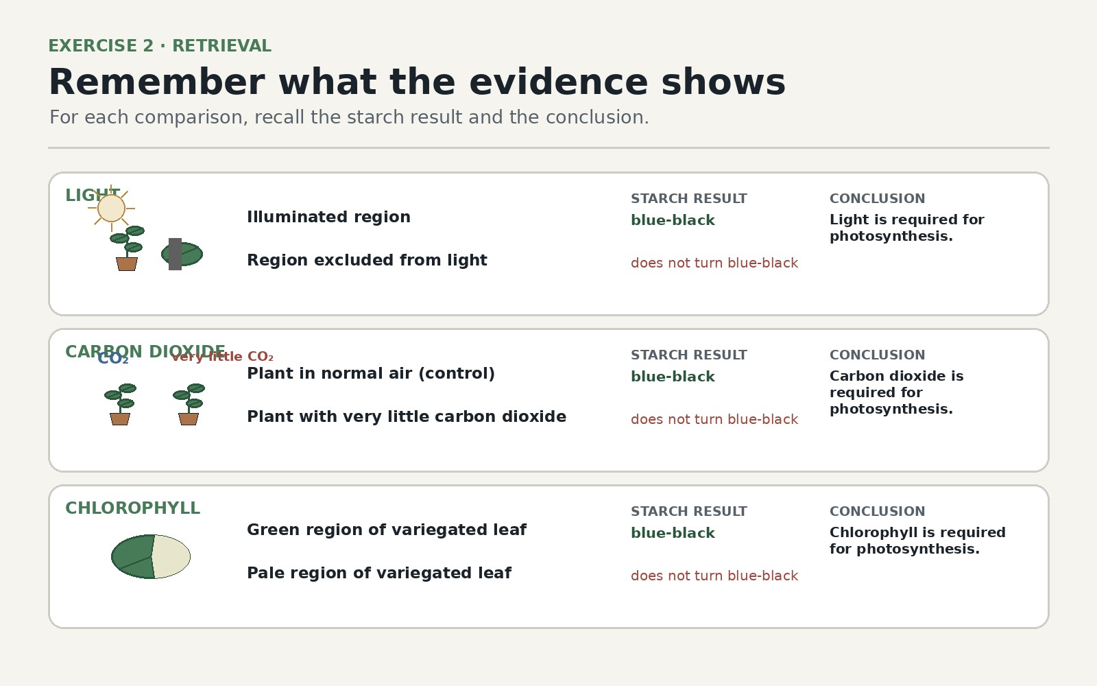 Evidence for What Photosynthesis Requires — Exercise 2 — Remember what the evidence shows