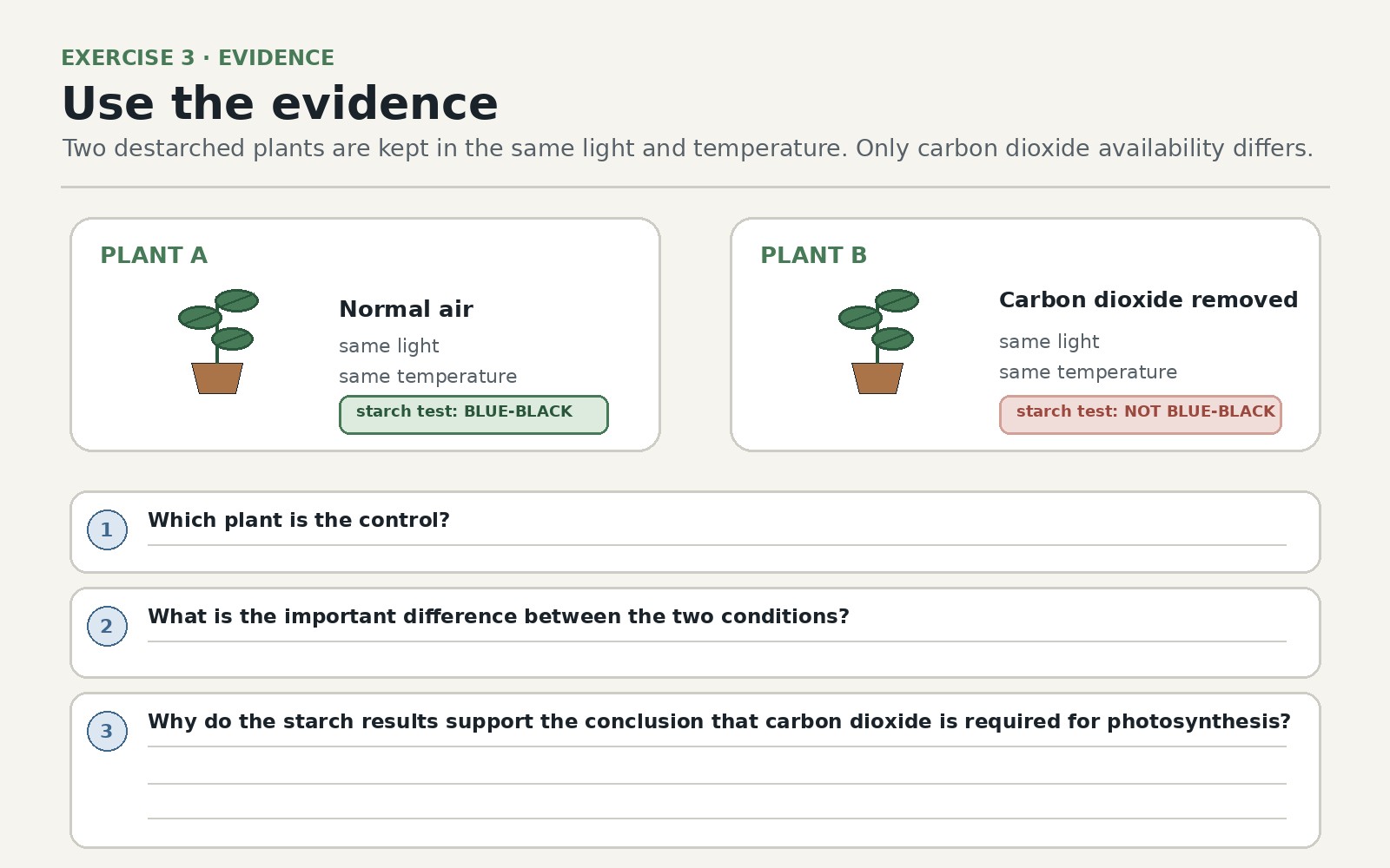Evidence for What Photosynthesis Requires — Exercise 3 — Use the evidence