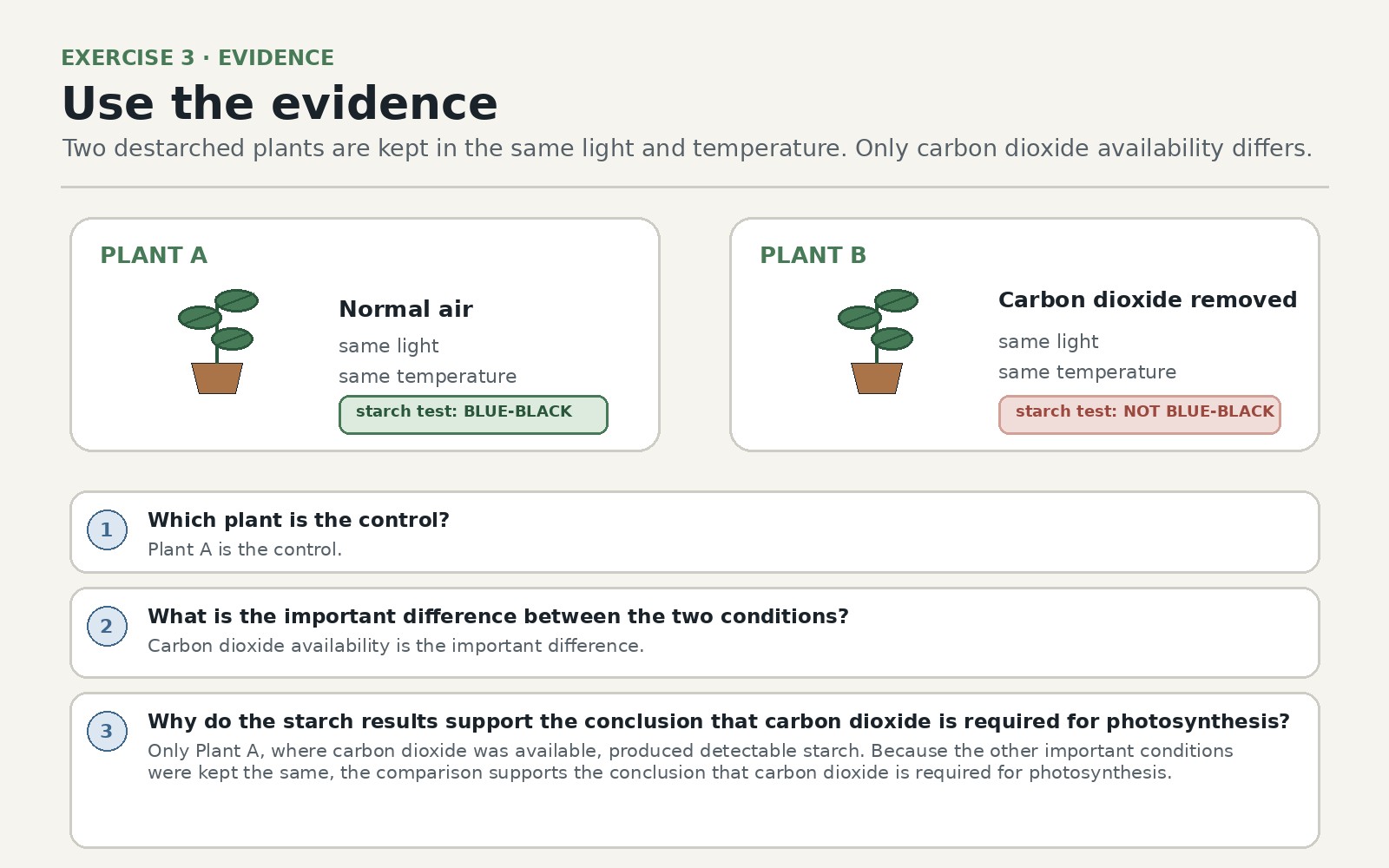 Evidence for What Photosynthesis Requires — Exercise 3 — Use the evidence